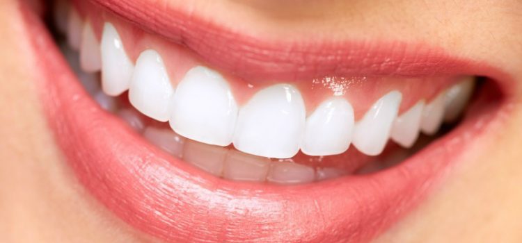 The Significance of a Family Dentist to Residents in Charlotte, NC