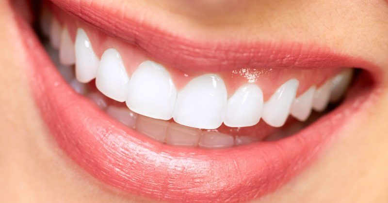 The Significance of a Family Dentist to Residents in Charlotte, NC