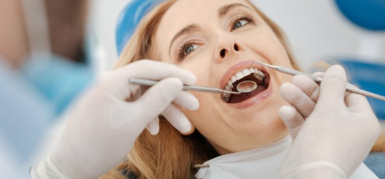 How Often Should an Adult See a General Dentist in Highland Park NJ